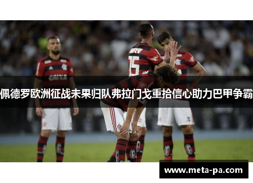 佩德罗欧洲征战未果归队弗拉门戈重拾信心助力巴甲争霸 佩德罗欧洲征战未果归队弗拉门戈重拾信心助力巴甲争霸